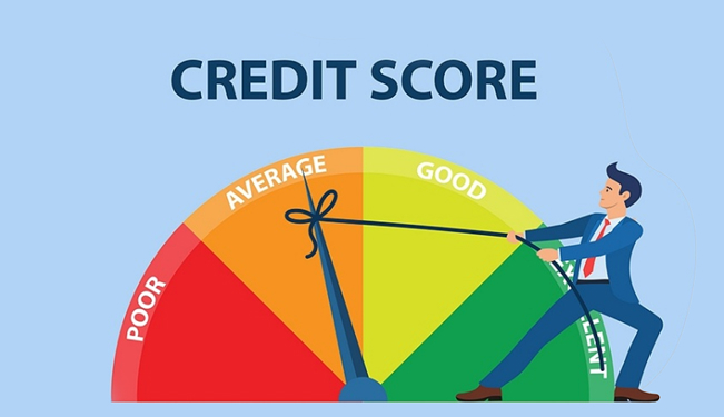 Young adult checking a credit score report on a computer